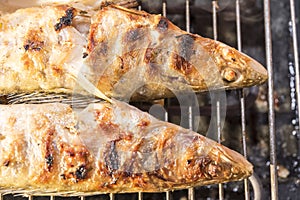 Fish perch baked at home on the grill