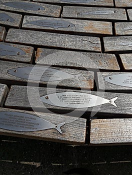 Fush plaques placed on iconic benches made of curved timber with metal fish as their backrests Seaford East Sussex photo