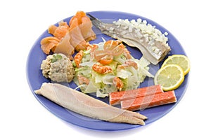 Fish plate