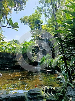 fish pond accompanied by an artificial waterfall