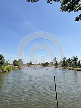 Fish pond in country Chachoengsao at Thailand