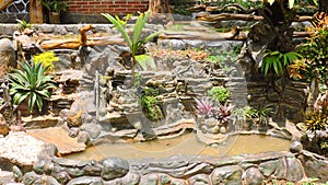 Fish pond garden