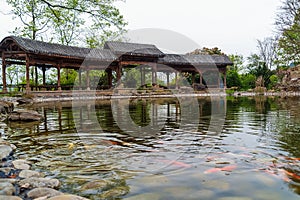 Fish pond in front of promenade Chinese rest ornamental .