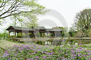 Fish pond in front of promenade Chinese rest ornamental .