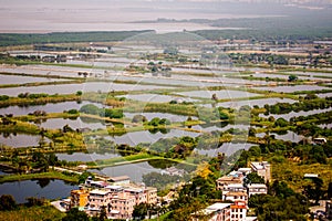 Fish pond in New Territories