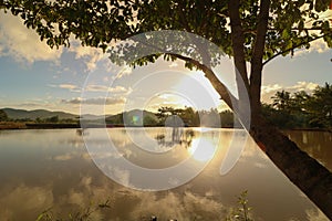 Fish pond in the Philippines