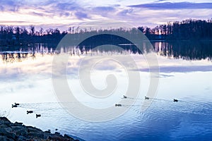 Fish pond Svet in Trebon town, South Bohemia, Czech republic