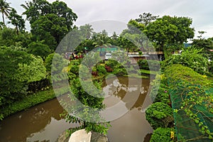 Fish pond with the vine archway viewed from above