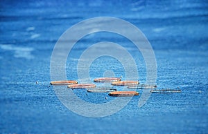 Fish ponds in Atlantic ocean near Madeira island, Portugal. The blue water of clear sea