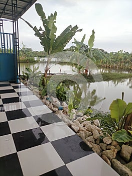 Fish pool in back of house.
