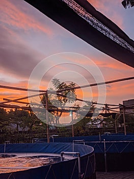 FISH POOL WITH SUNSET VIEW IN THE AFTERNOON