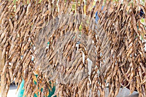 Fish preservation by drying in Ukraine Azov sea