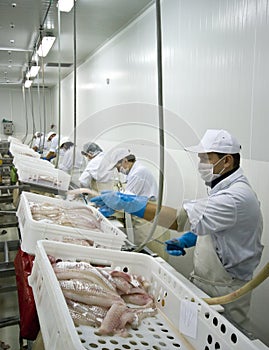 Fish processing