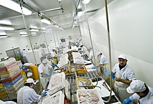 Fish processing factory