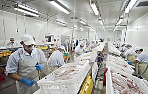 Fish processing factory photo