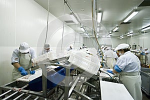 Fish processing factory