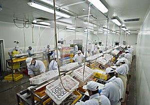 Fish processing factory