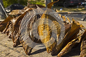 Fish processing plant. Freshly smoked fish. Smoked flounder,