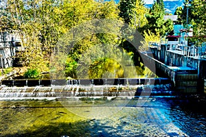 Fish Reflection Issaquah Creek Salmon Hatchery Washington