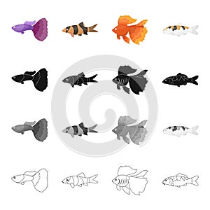 fish related icon set