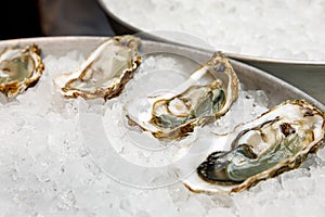 Fish restaurant. Raw oysters on tray with ice