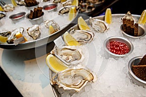 Fish restaurant. Raw oysters on tray with ice