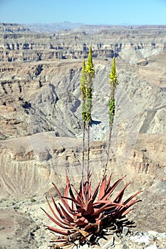Fish River Canyon, Namibia