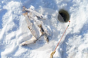 Fish and rod on the Ice close to hole while winter fishing