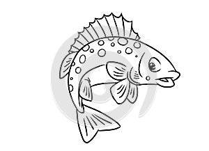 Fish ruff coloring pages