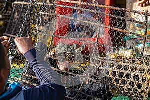 Fish in the rusty metal trap taking out by the fisherman on the boat in a sunny day.