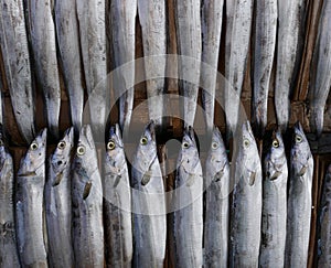 Fish for sale in Korean Market