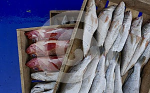 Fish for sale in Korean Market