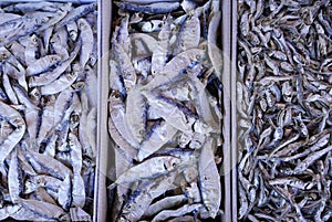 Fish for sale in Korean Market