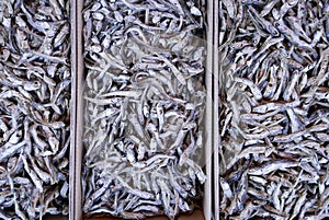 Fish for sale in Korean Market