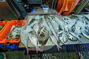 Fish on sale in the market, port of Jaffa