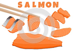 Fish salmon vector illustration