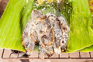 Fish with salted cooking burning, local Thai market