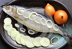 A fish. Salted marinated herring with sliced onions on a ceramic dish.