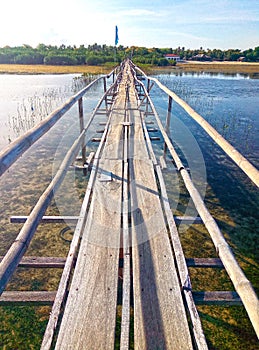 Fish sanctuary`s wooden bridge