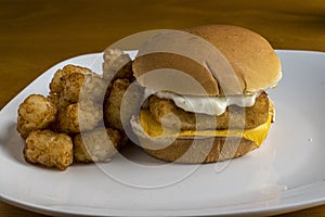 Fish sandwich  top with tarter  sauce and a side of tater tots