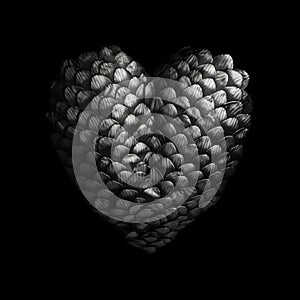 Fish scale Heart isolated on black background.