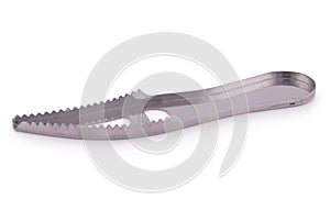 Fish scaler Clipping path