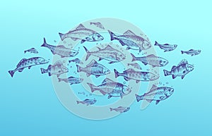 Fish school. Fishes group hand drawn sketch. Restaurant delicacy seafood menu dorado mackerel tuna fresh food design