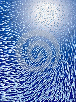 Fish school under water