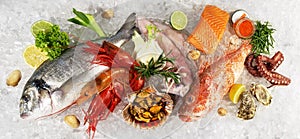 Fish and Sea Food on Ice with Sea Weed, Caviar, Mussels, Oysters and Vegetables isolated on white Background - Banner