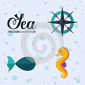 Fish and sea horse icon. Sea animal cartoon. Vector graphic