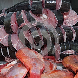Fish, seabass basa Pangasius bocourti photo