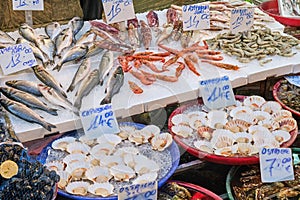 Fish, seafood and bivalves for sale