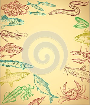 Fish and seafood frame, hand drawn graphic illustration with empty space for text