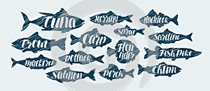 Fish, seafood icons set. Sketch vector illustration